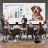Découvrez notre classement des meilleures assurances pour chien en 2025. Comparez les offres, les garanties et trouvez la couverture idéale pour la santé de votre compagnon à quatre pattes.