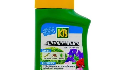 découvrez le jardin choc, un espace captivant où la nature s'exprime avec éclat. plantes exotiques, couleurs vives et aménagements innovants se combinent pour créer un jardin unique qui éveillera vos sens et inspirera votre créativité.