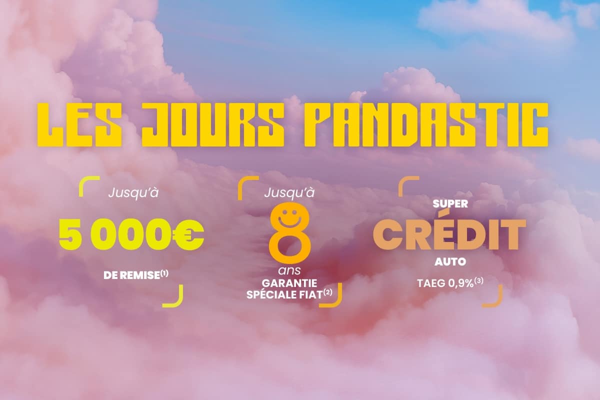 Fiat pandastic promotion