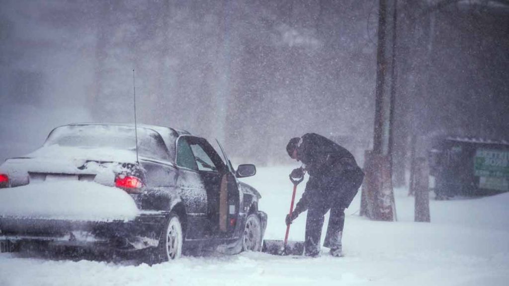 Attention ! Une vague de froid polaire s’annonce : préparez-vous à une pluie surprenante d’iguanes gelés aux États-Unis !